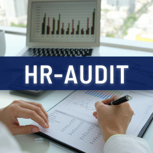 HR Audit Frameworks