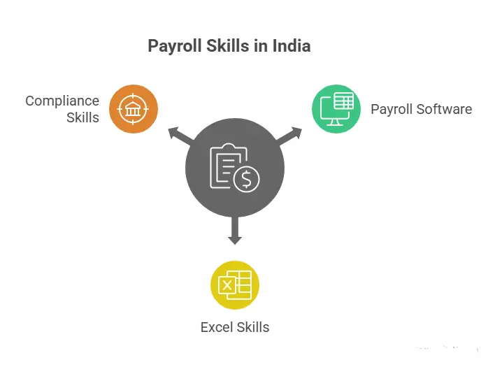 Payroll Skills Employers Expect